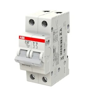 Disjuntor bipolar S202 C2 2TAZ110200R1024