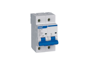Mini Disjuntor bipolar NXB-125 C100